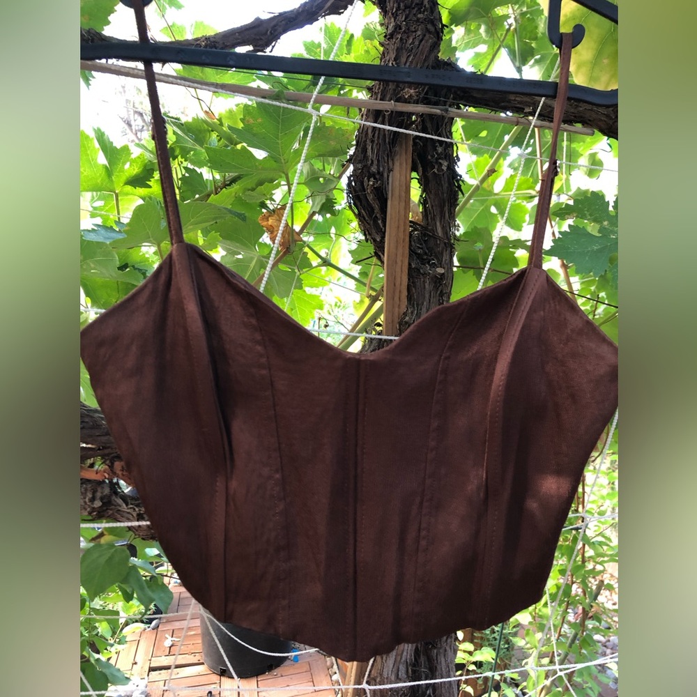 Zara Brown Camisole Top